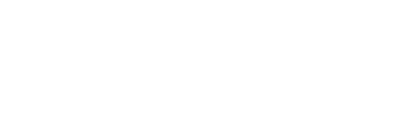 General Assembly